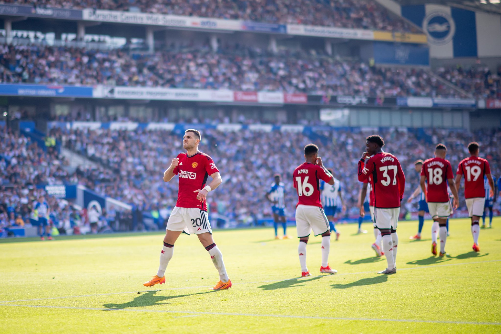 岛海牛的对 岛海牛的对